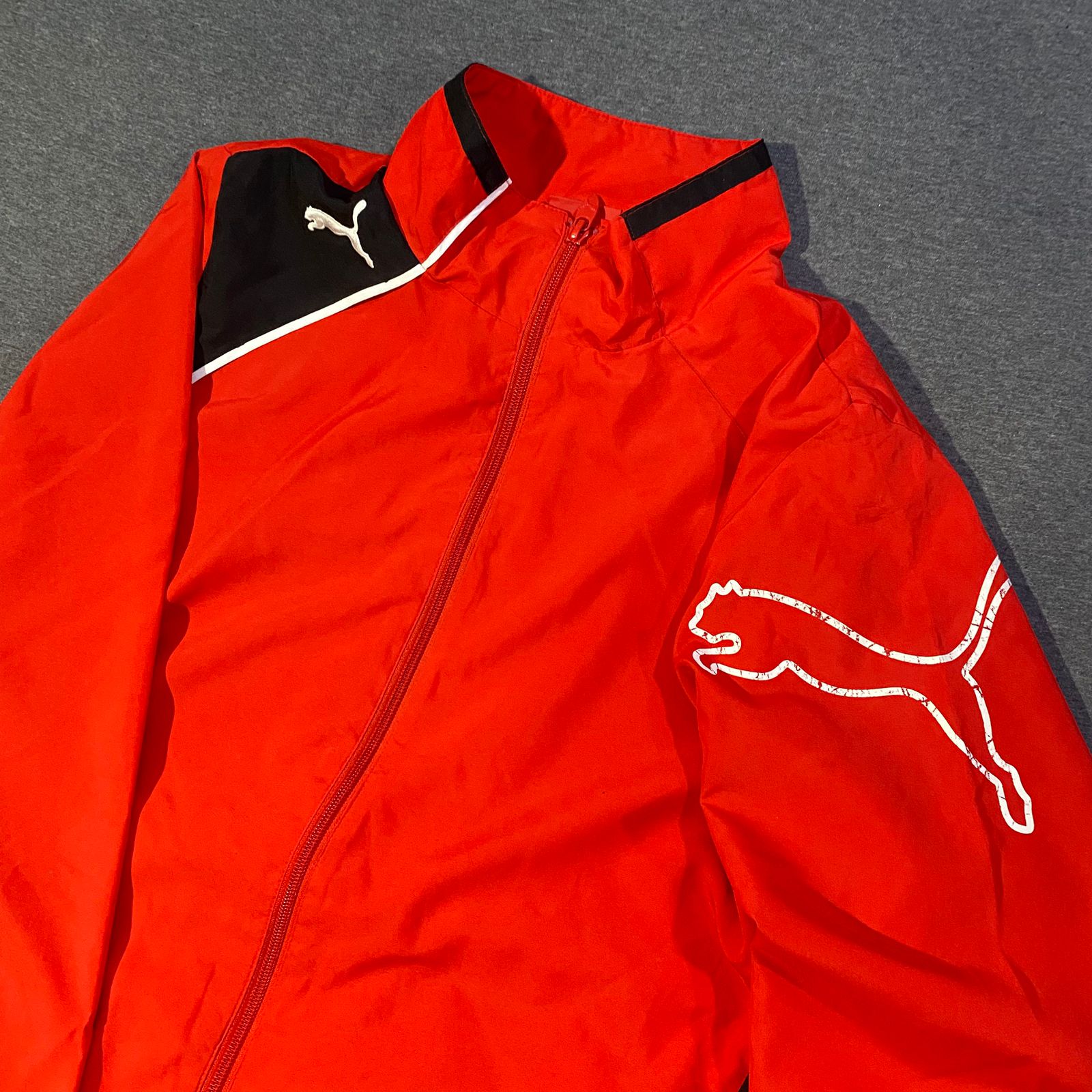 CASACA PUMA